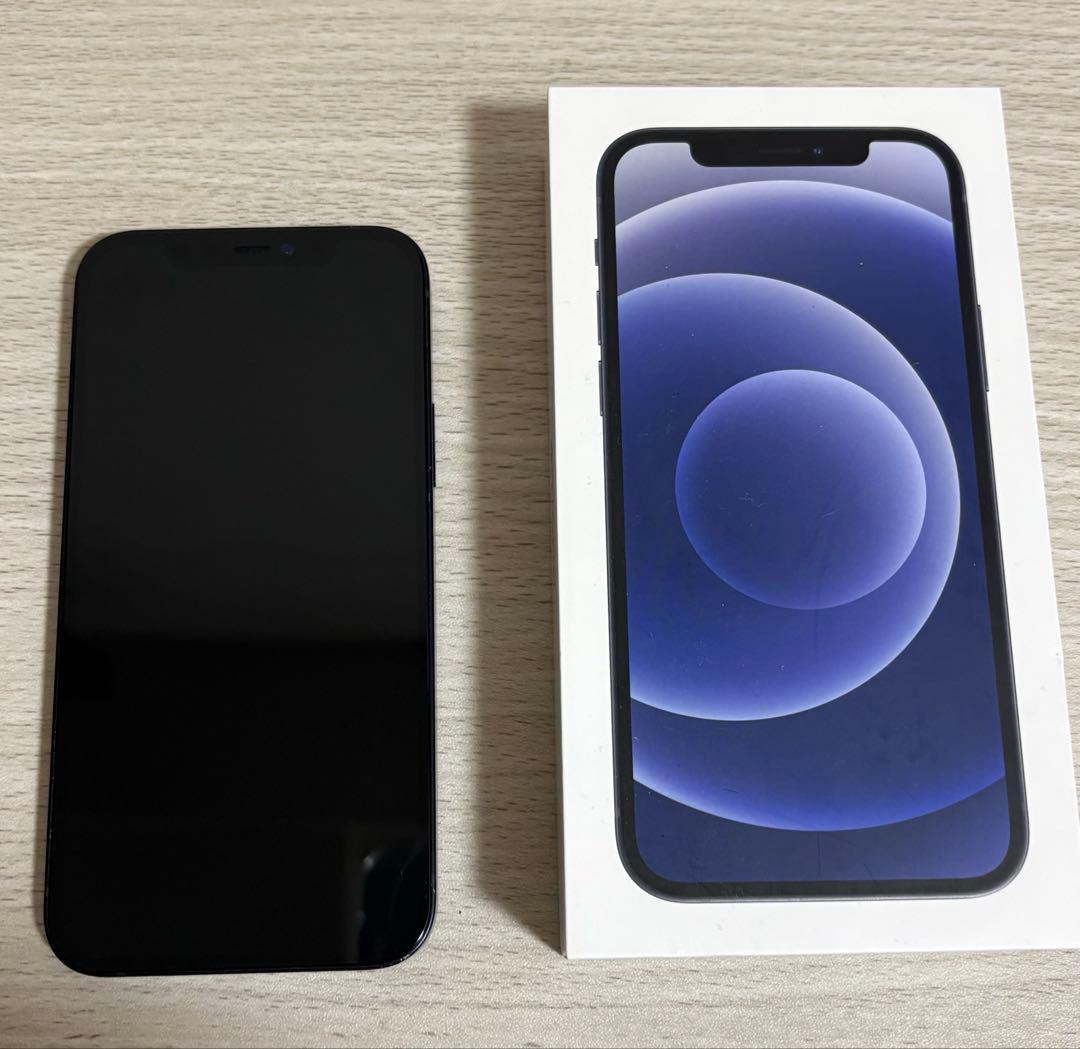 Apple iPhone 【ジャンク品】最終値下げ12 ブラック 12 GB本体