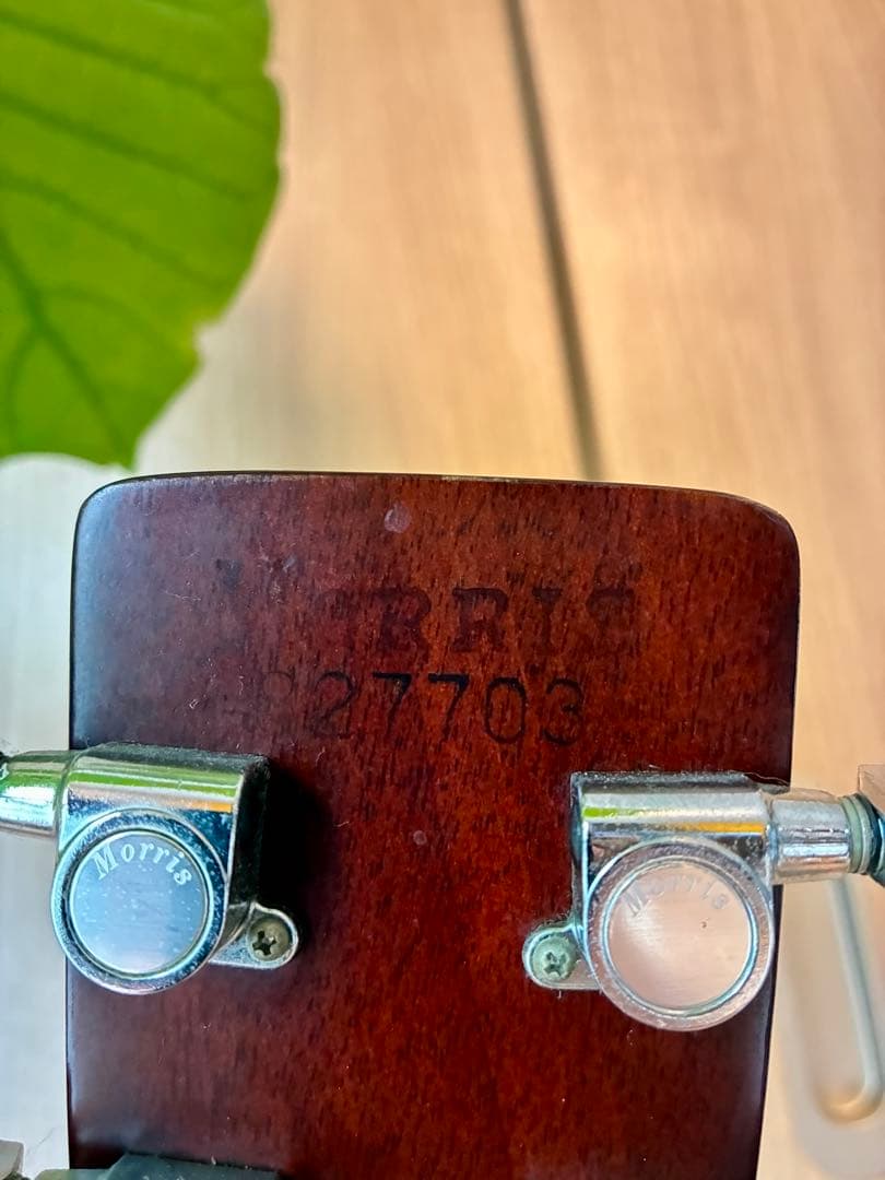 Morris W-50 アコースティックギター（日本製）ハードケース付