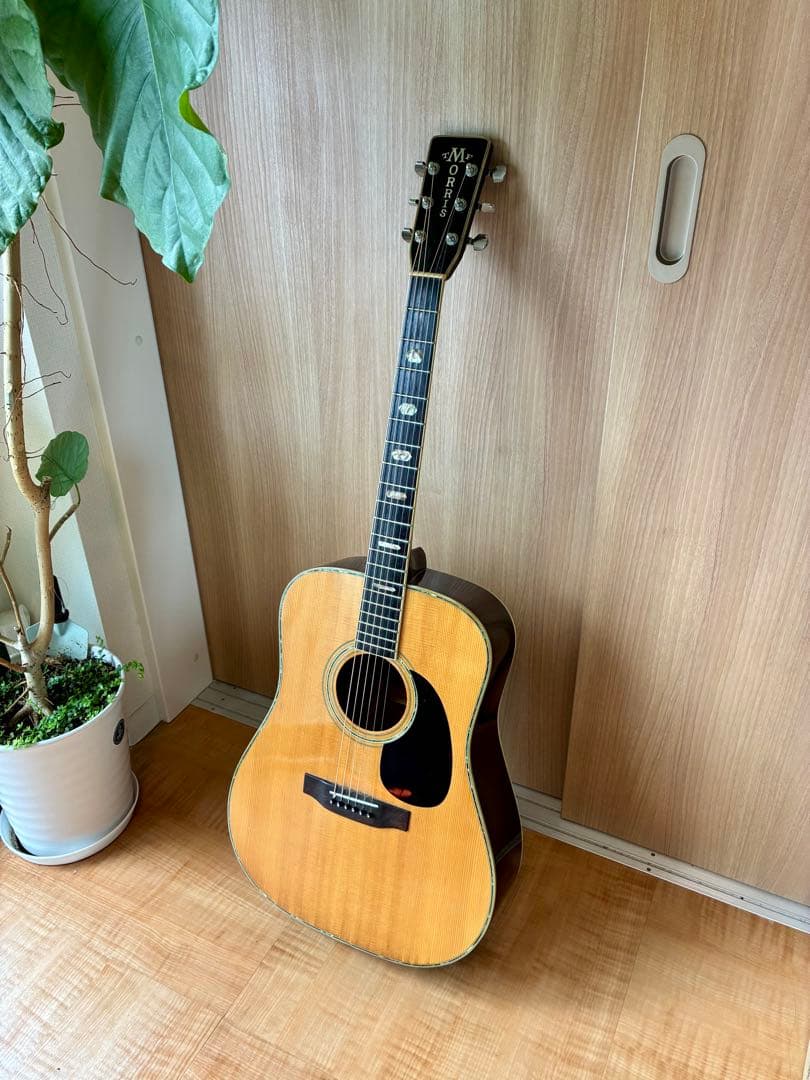 Morris W-50 アコースティックギター（日本製）ハードケース付