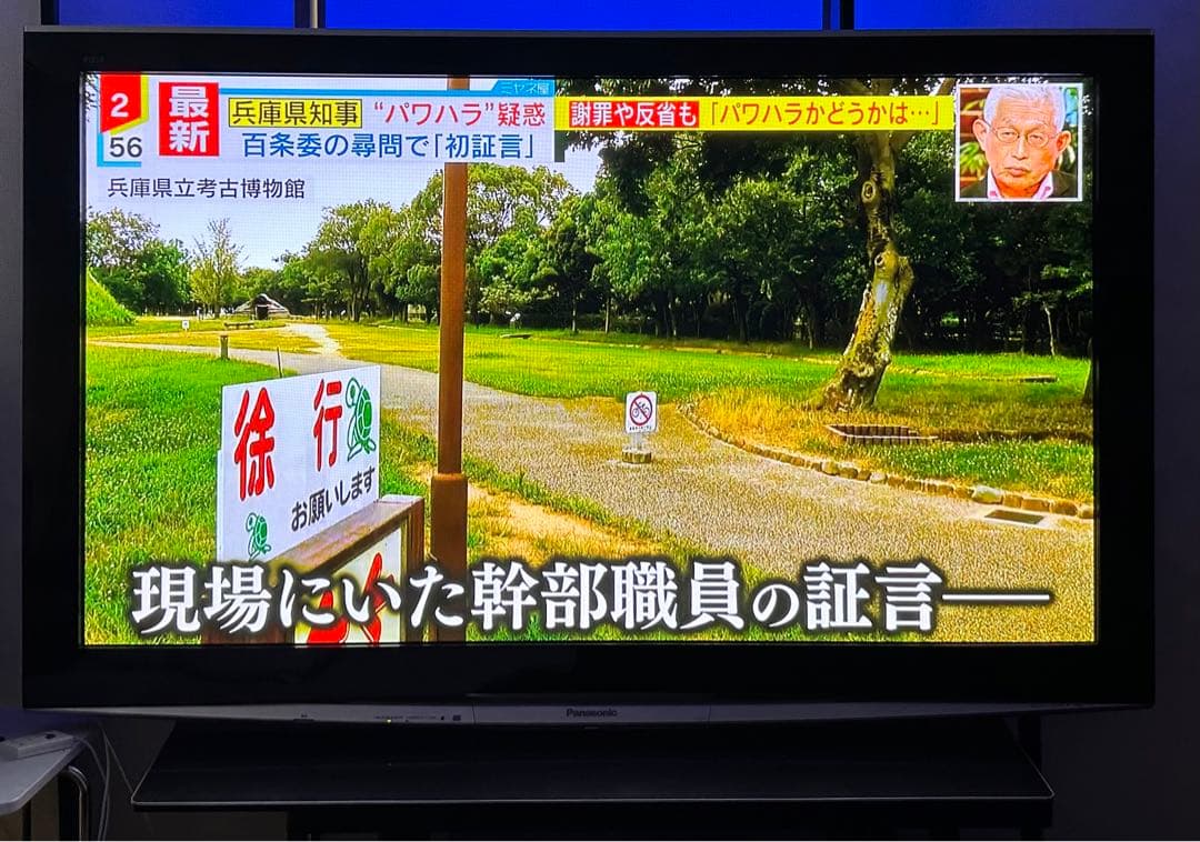 Panasonic 65インチ プラズマTV パナソニック TH-65PZ800