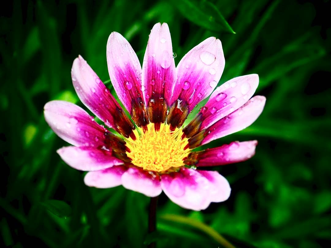 LUMIX 望遠レンズ 35-100mm H-FS35100 パナソニック未使用