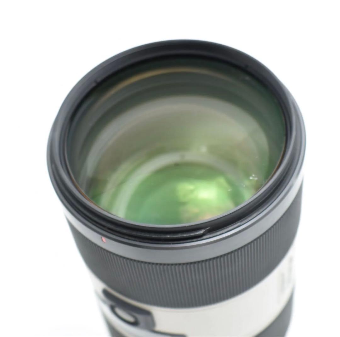 Sony Aマウント 70-200mm f2.8 Gレンズ SAL70200G