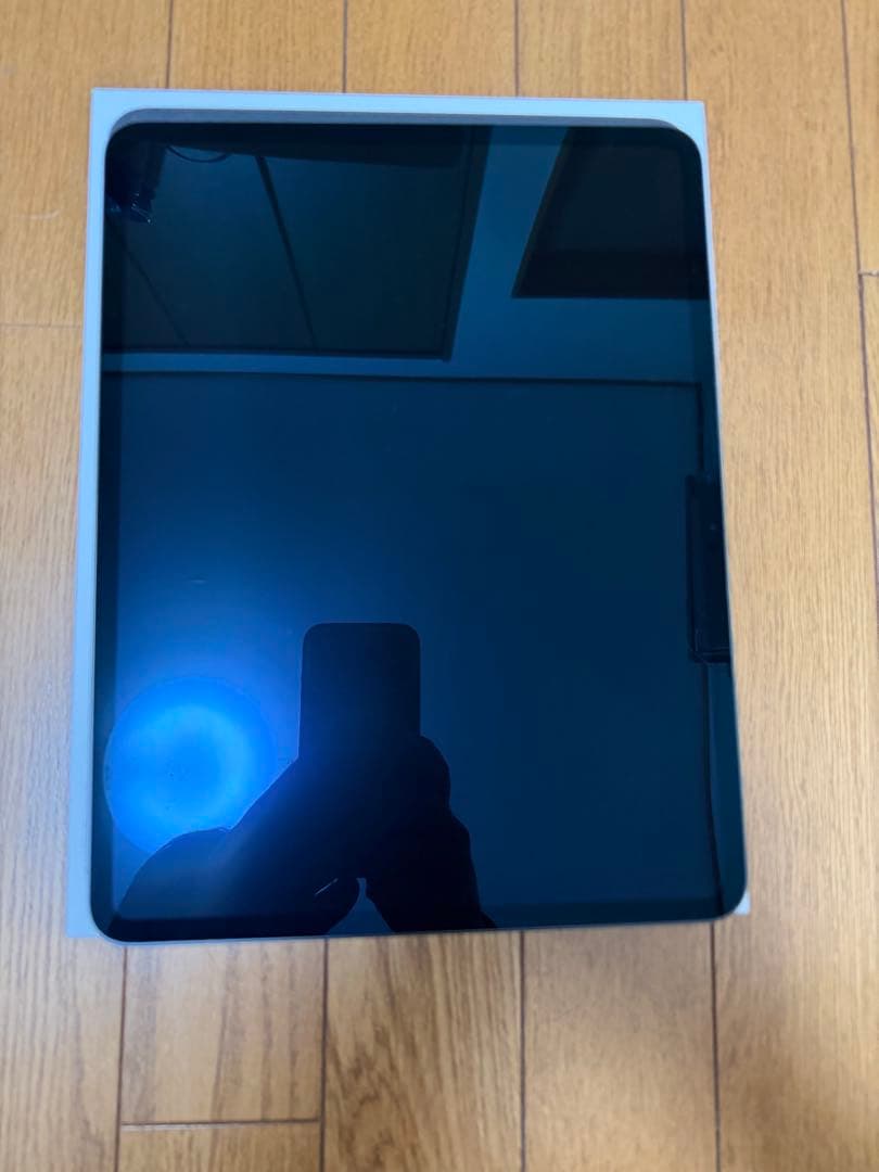 iPad Pro 13インチ 第1世代 256GB スペースグレー wifi