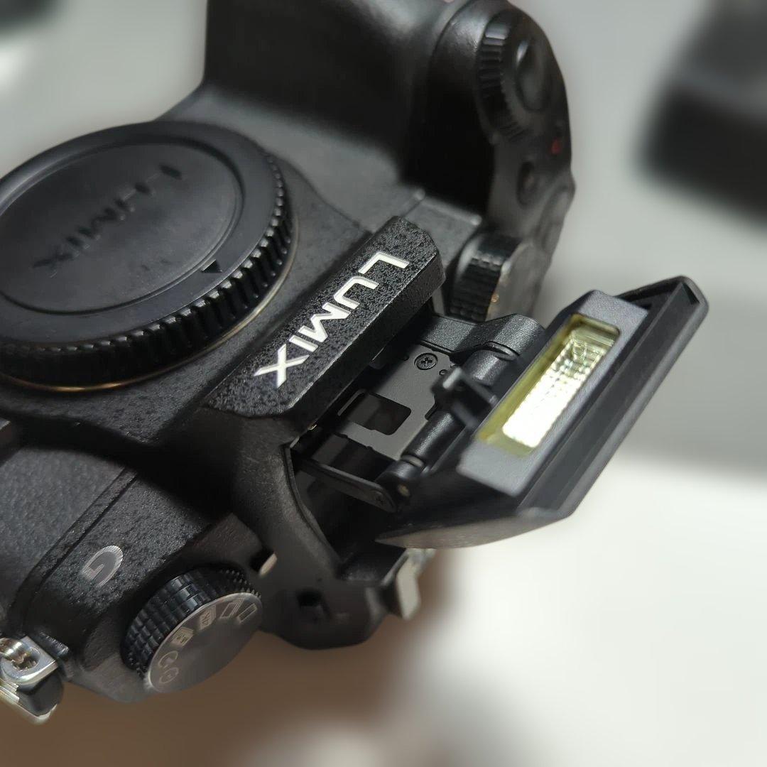 LUMIX DMC-G8 ミラーレス一眼カメラ レンズセット