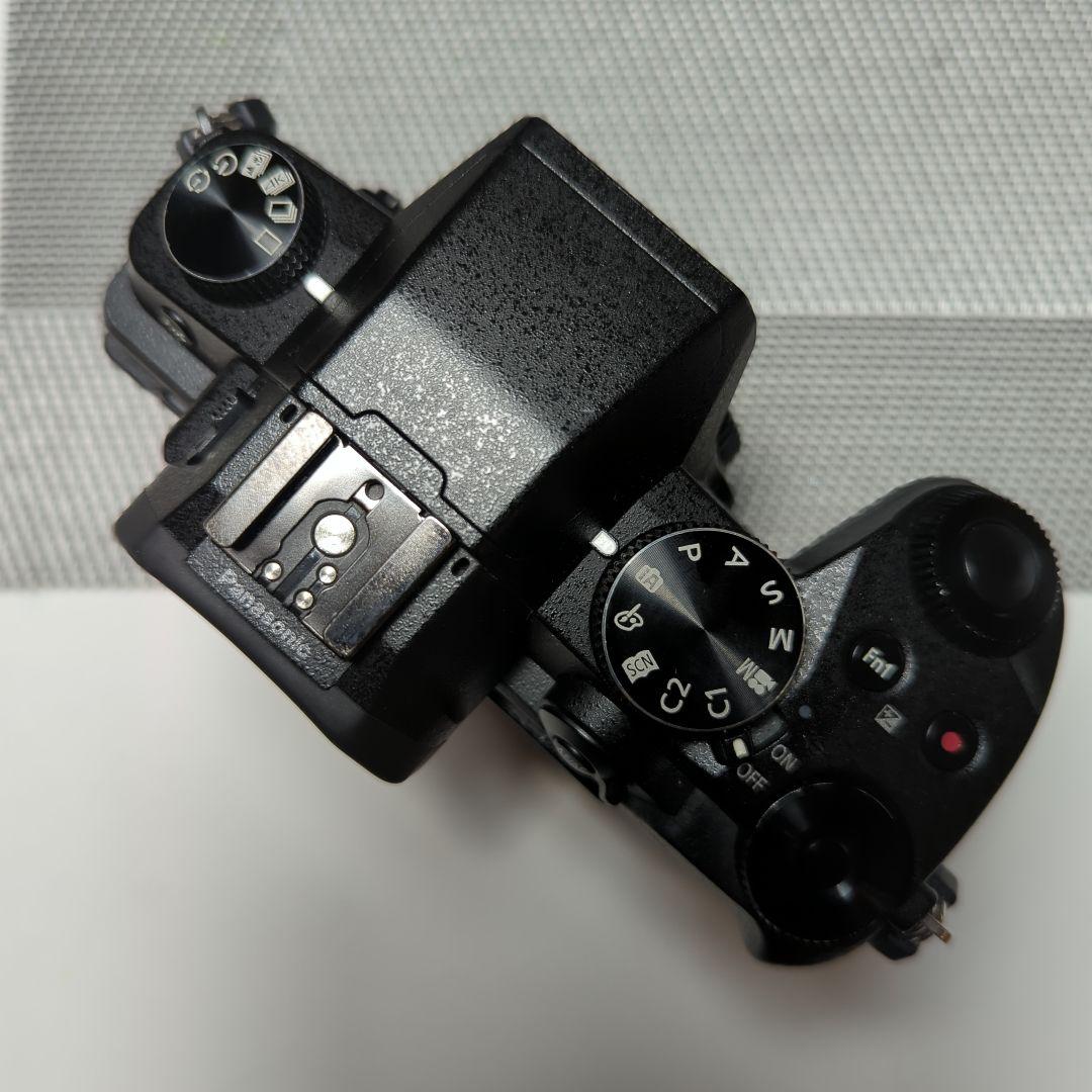 LUMIX DMC-G8 ミラーレス一眼カメラ レンズセット