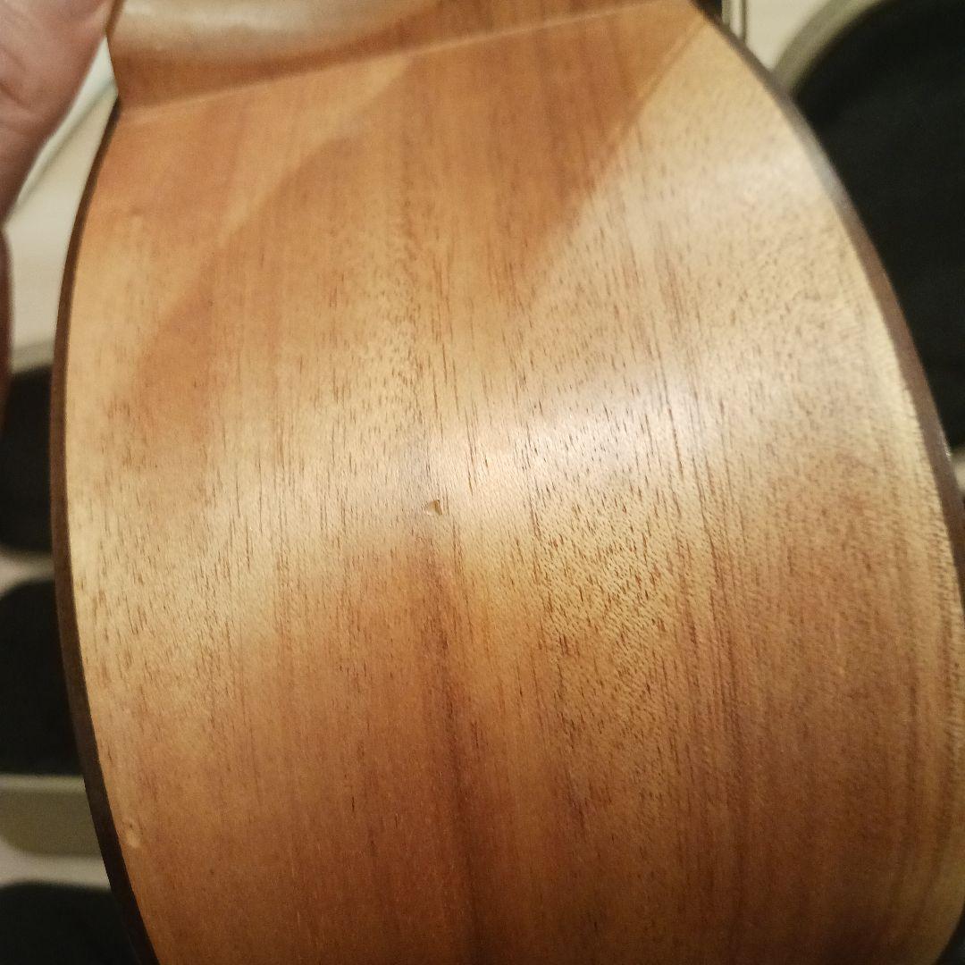 Cole Clark FL2AC　アコースティックギター