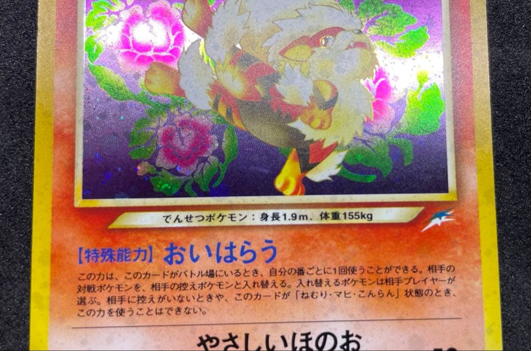 【準美品】旧裏　やさしいウインディ　ポケモンカード　全面ホロ