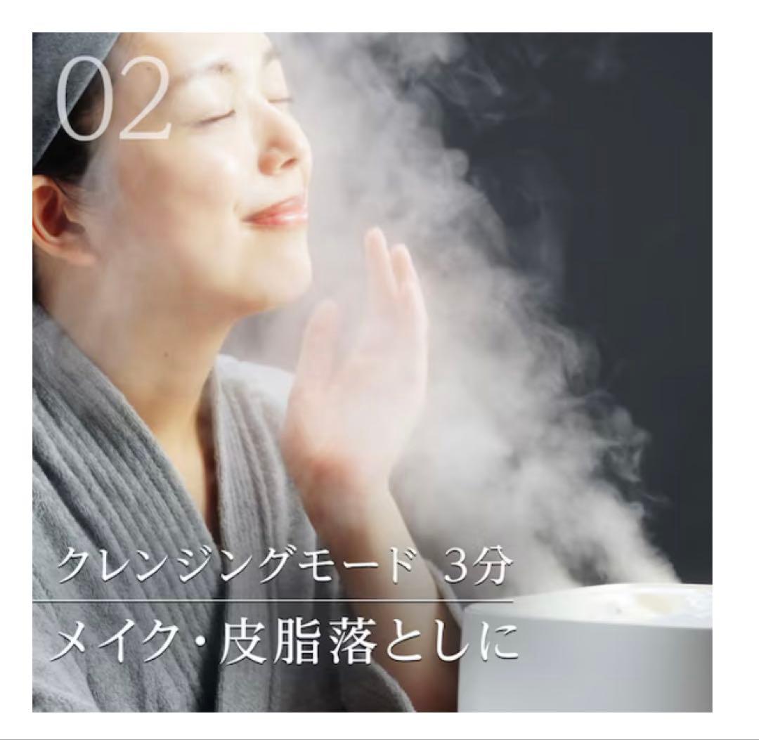 6分で潤いをサポートできる フェイススチーマー (NK251 モカ)