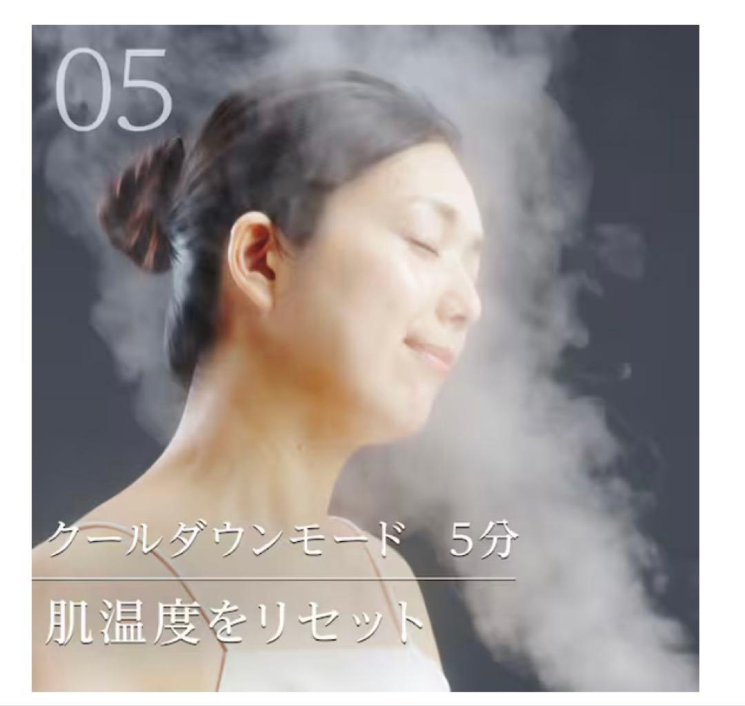 6分で潤いをサポートできる フェイススチーマー (NK251 モカ)