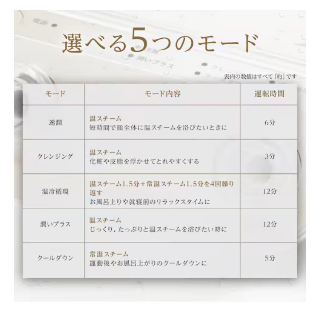 6分で潤いをサポートできる フェイススチーマー (NK251 モカ)