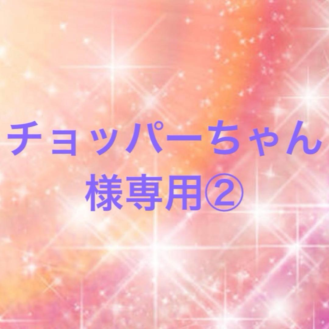 チョッパーちゃん②