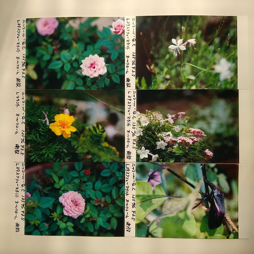 ニッコール-Q.C 135mmF3.5L39スクリューマウント 純正メタルフード