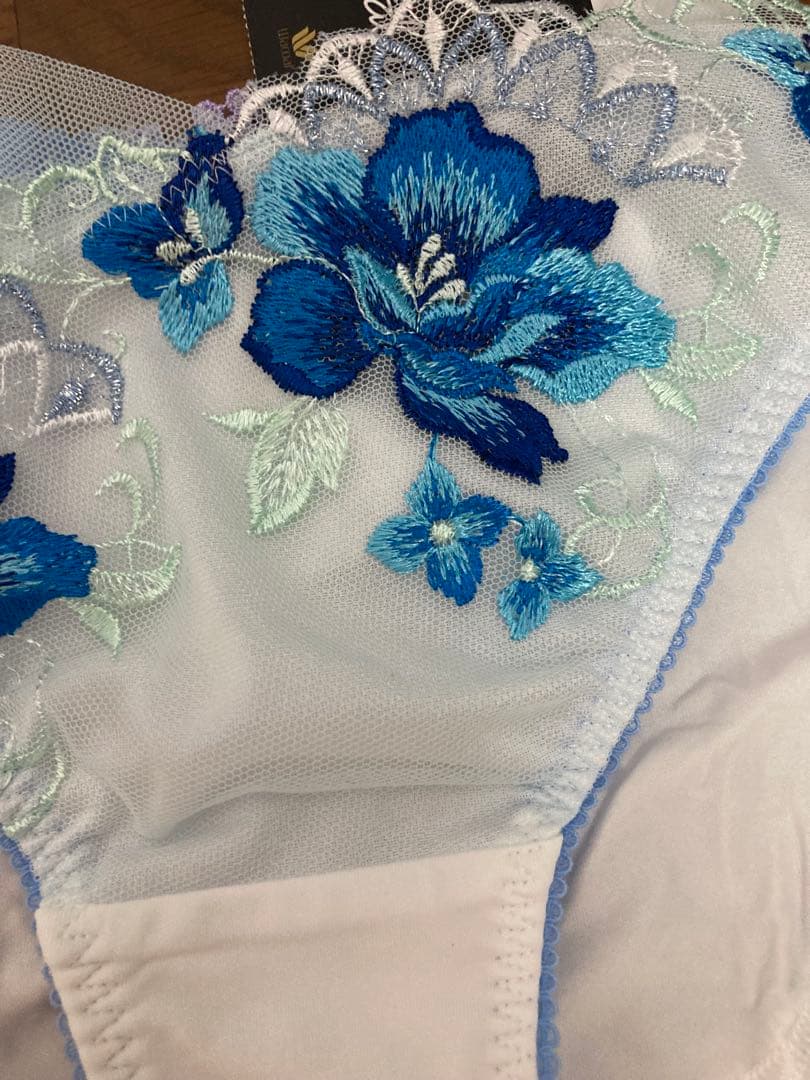 サルート　42 みずがめ座　アクエリアス　ホワイト　ＷＨ　ブラジャー　ショーツ