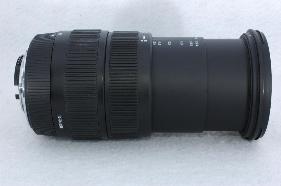 手ブレ補正◇SIGMA 18-200 3.5-6.3 DC OS HSM ニコン