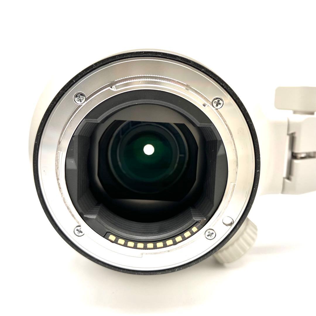 【美品】 SONY FE 100-400mm F4.5-5.6 GM OSS