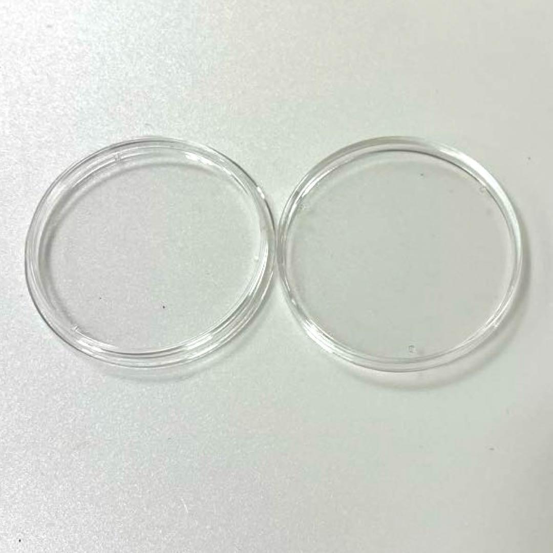 【純銀】2018年パンダ銀貨　10元　カプセル付き③