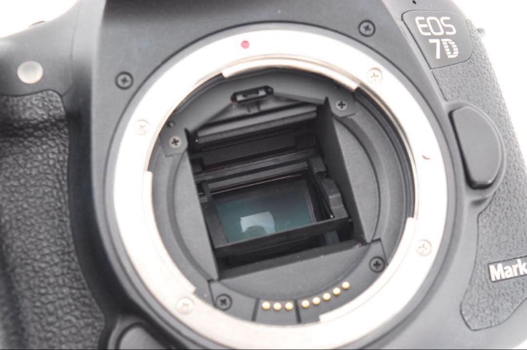 【Rio】Canon EOS 7D Mark II 標準&望遠&単焦点