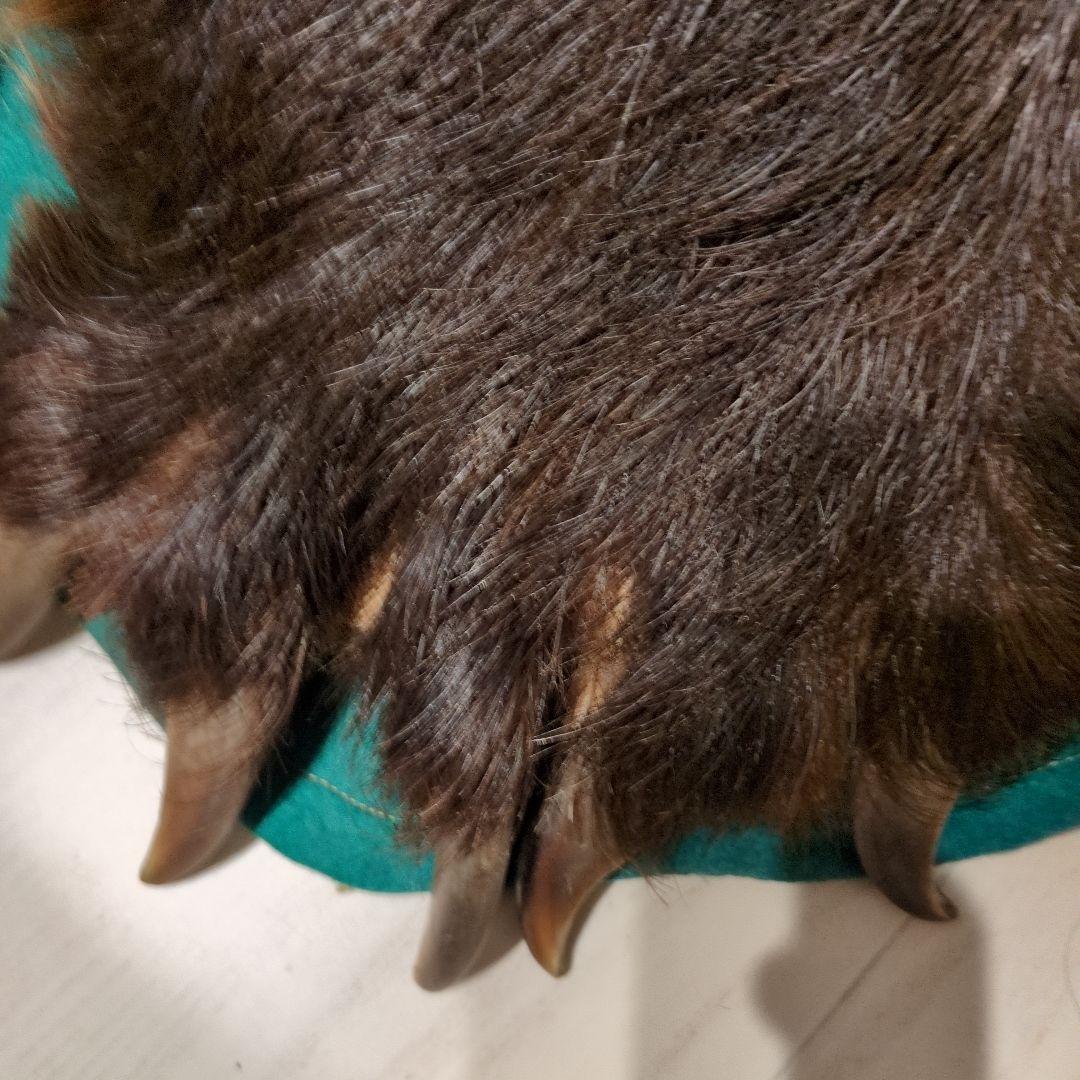 クマの毛皮ラグ ブラウン グリーン縁取り