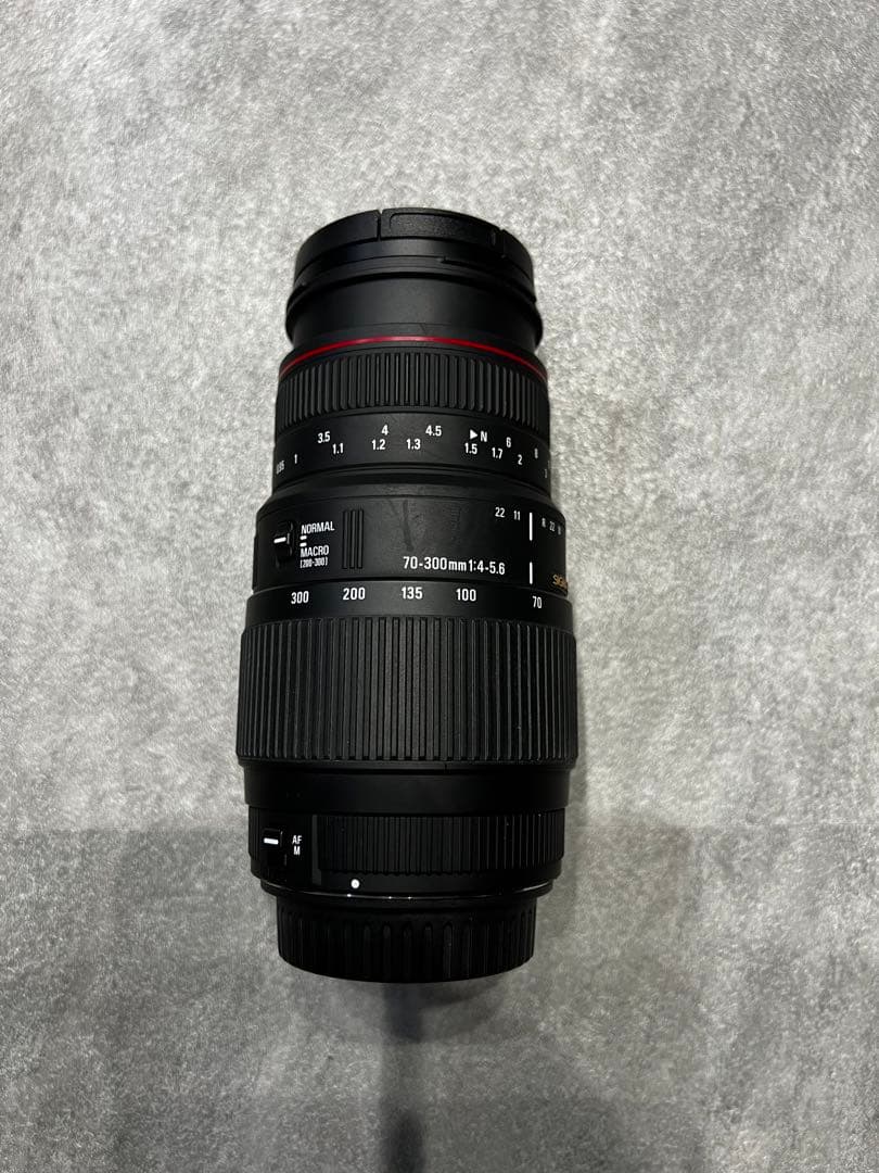 SIGMA 望遠ズームレンズ APO 70-300mm F4-5.6