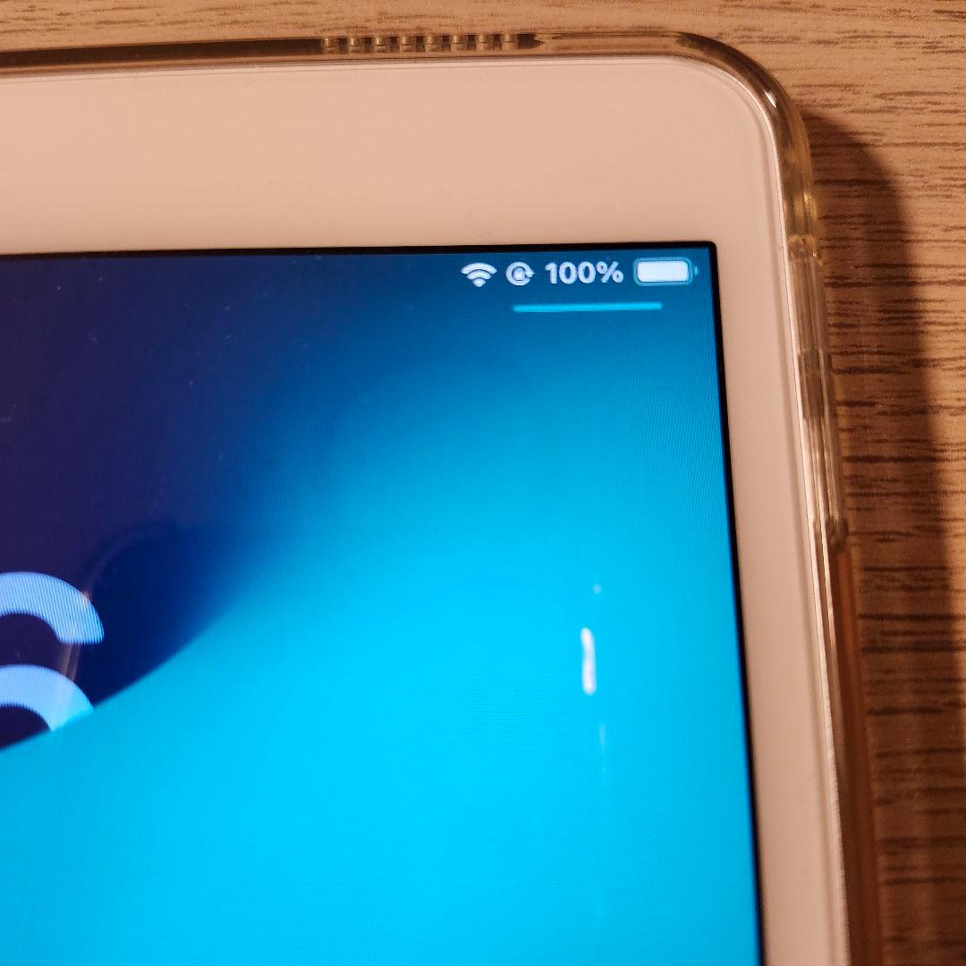 iPad Pro (10.5インチ) 本体