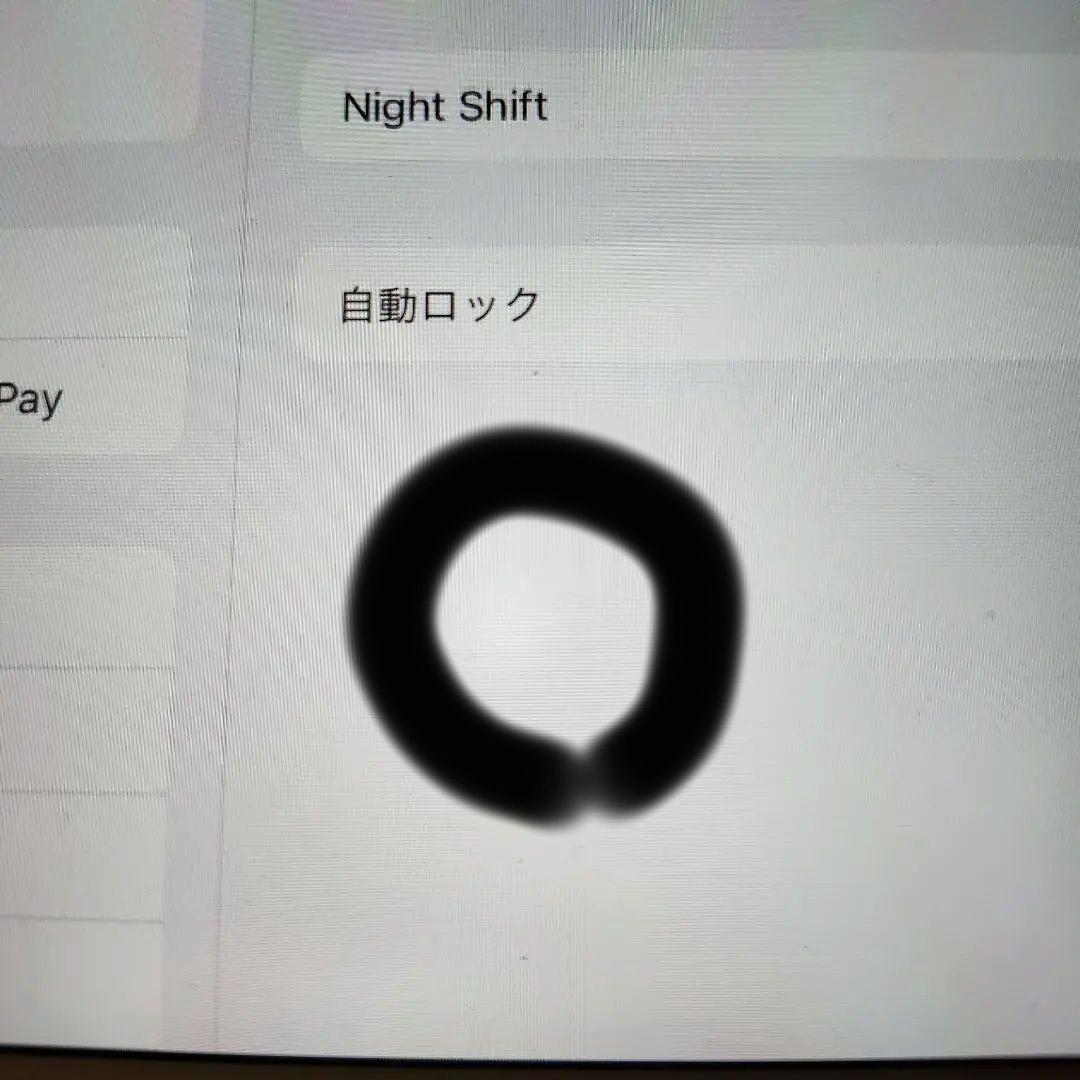 iPad Pro (10.5インチ) 本体