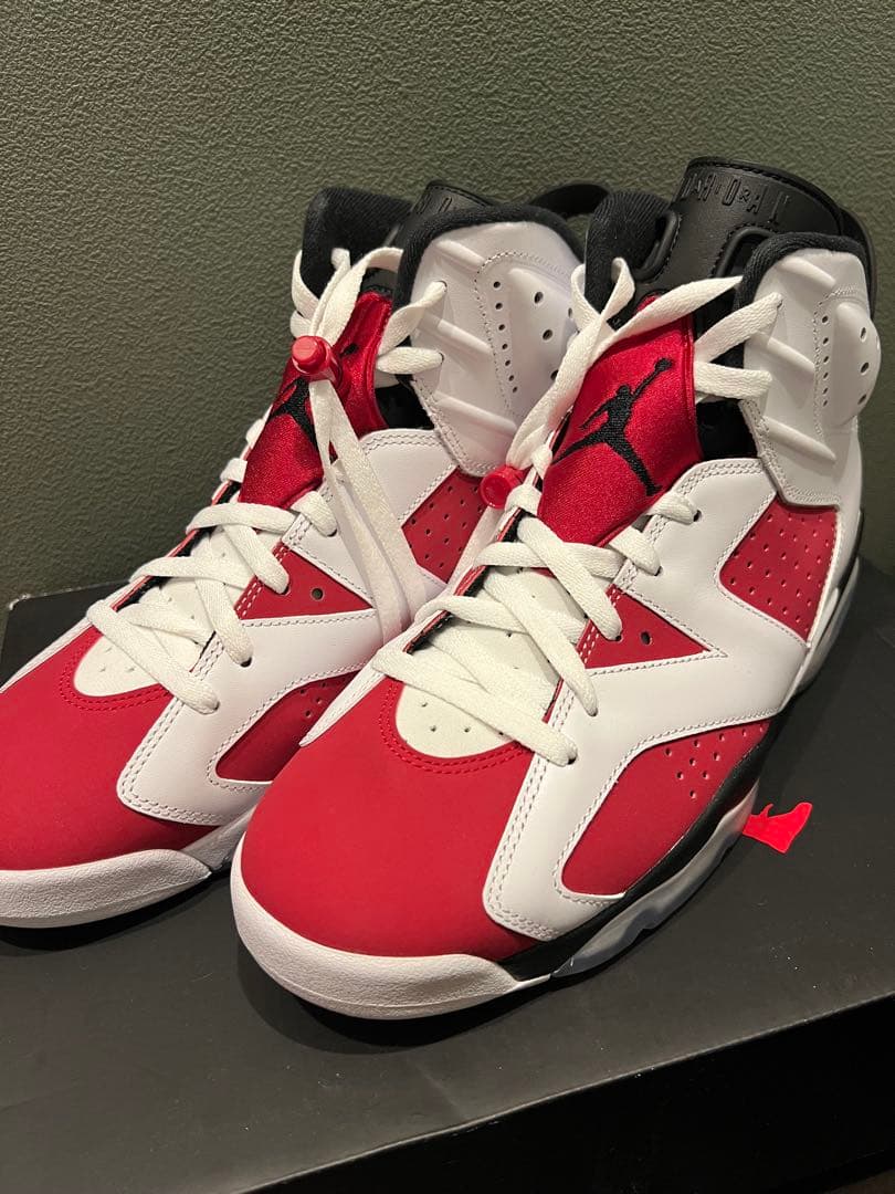 NIKE AIR JORDAN6 レトロ カーマイン 2021