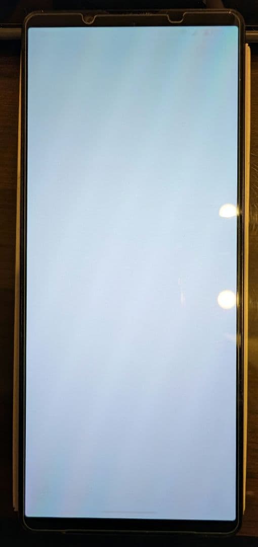 SONY XPERIA 1ⅴ ハラハラさん専用