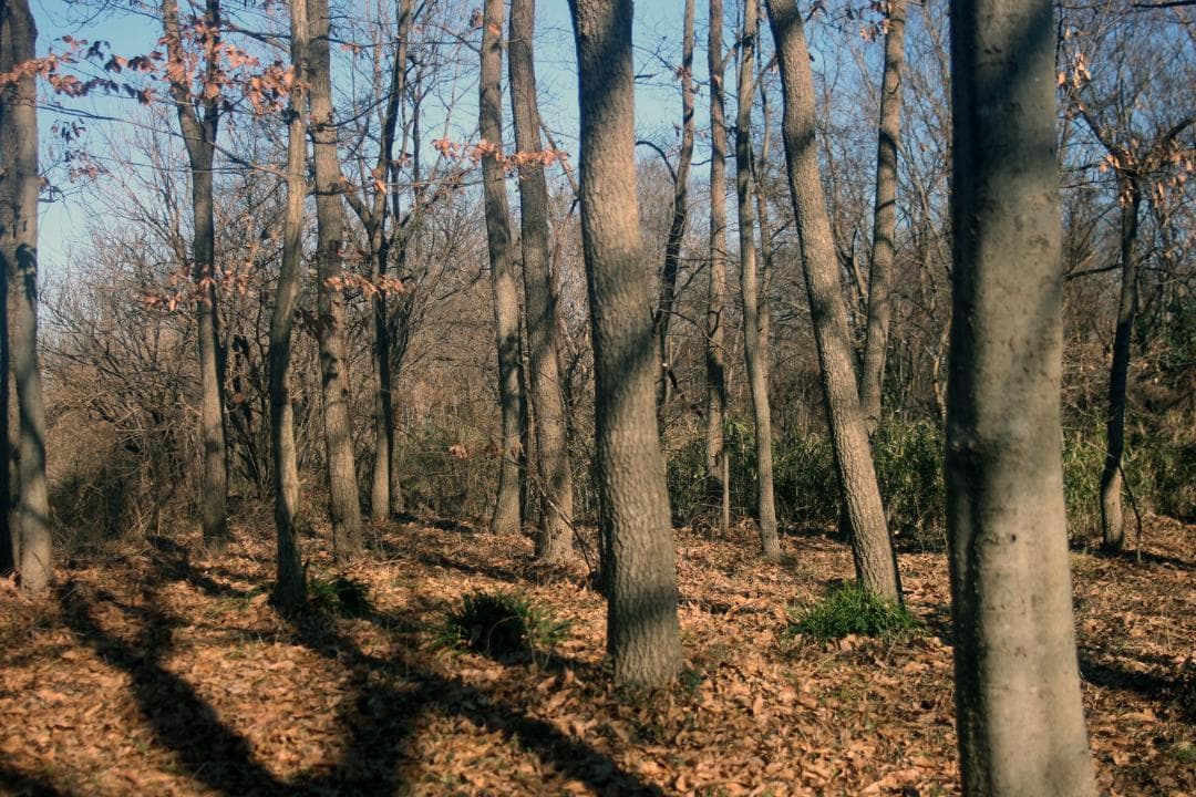 CANON AE-1 連射一眼 セット (Power Winder A付)