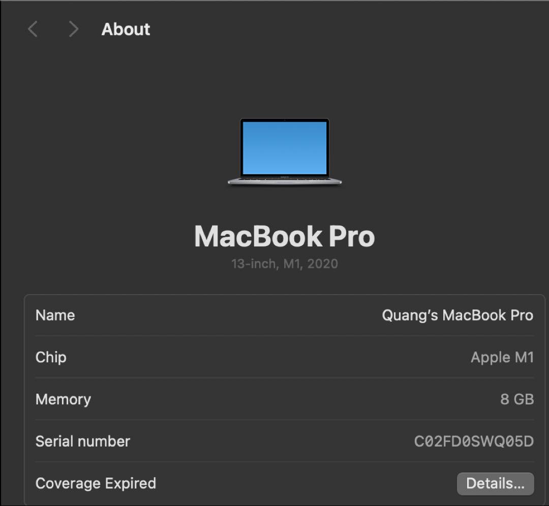 【極美品】MacBook Pro 2020 M1 256GB