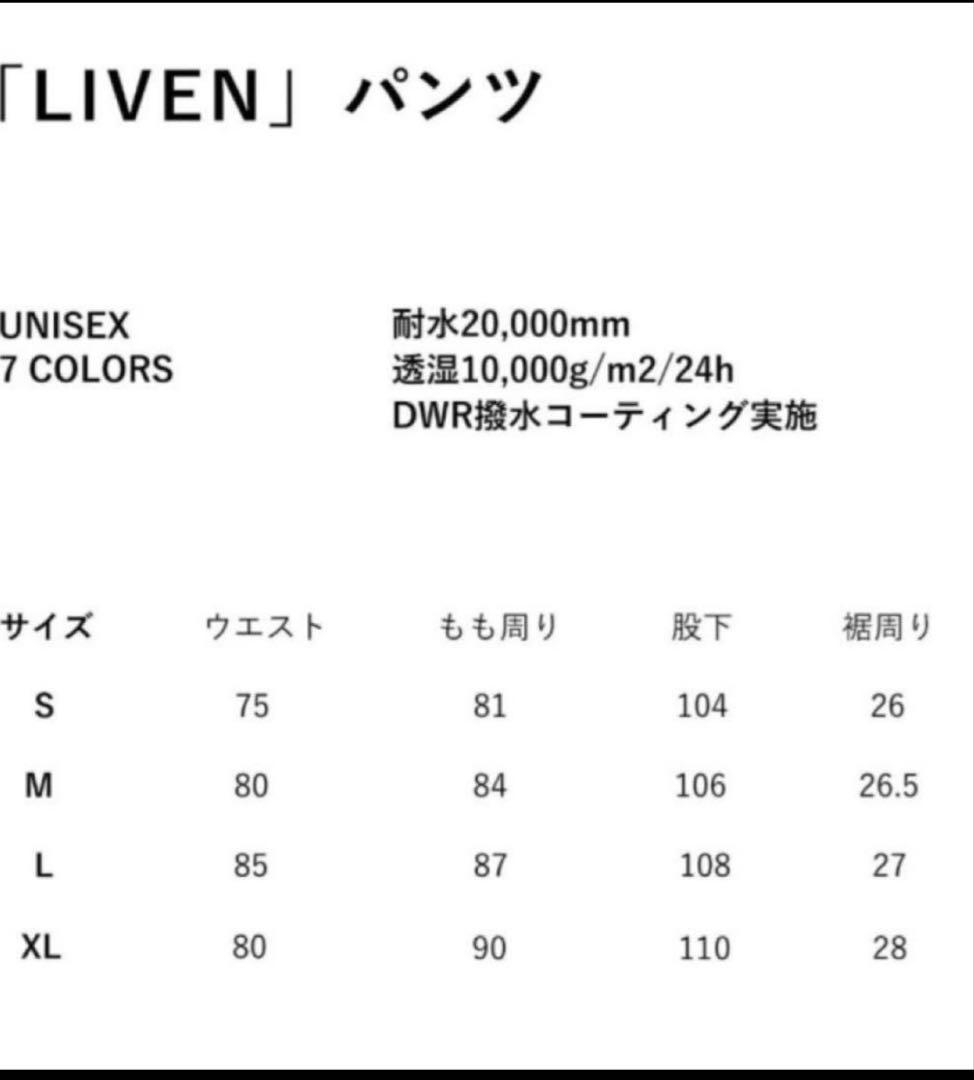 gt  board ウエア上下　L グレー