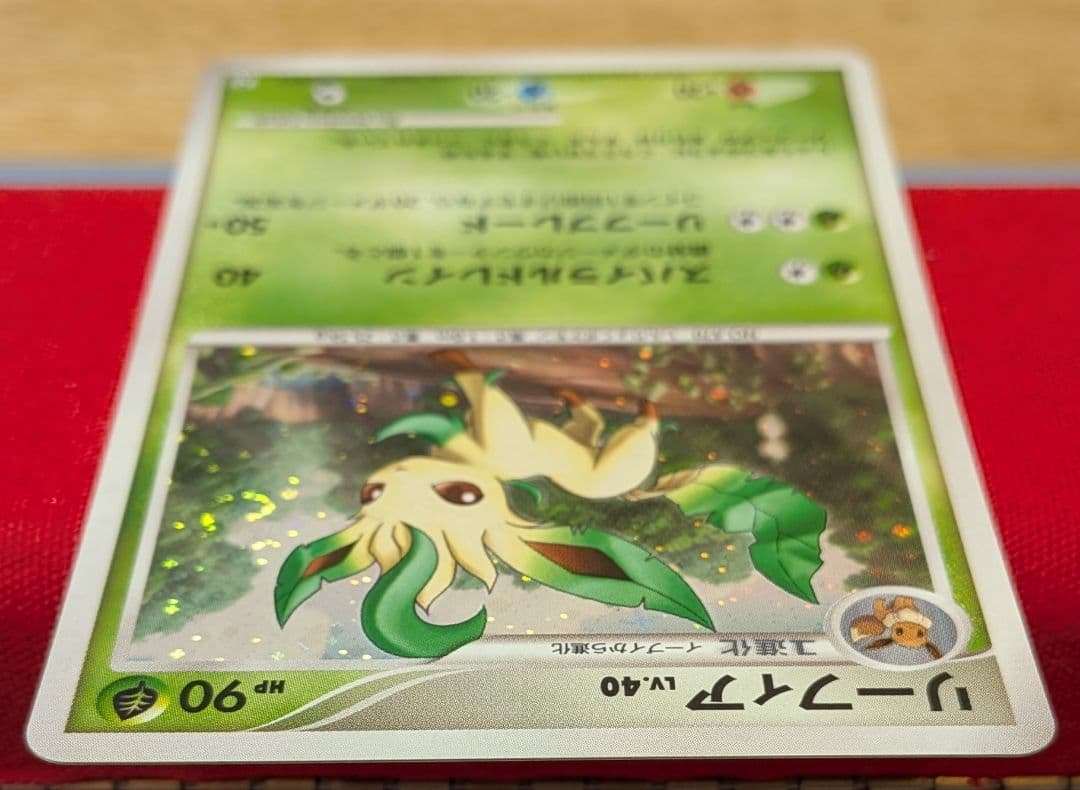 お*》様 リーフィア PtR