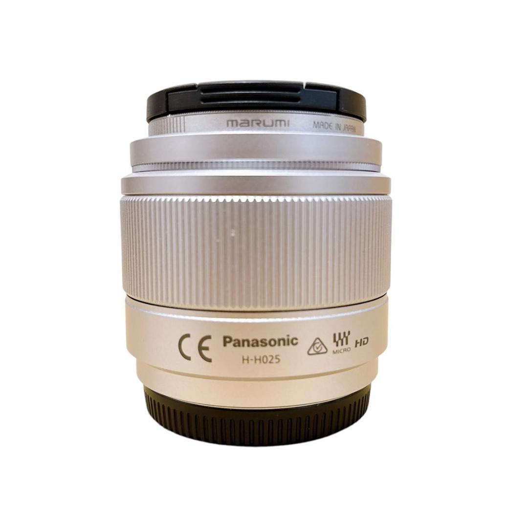 Panasonic LUMIX G ミラーレス一眼カメラ DC-GF9W