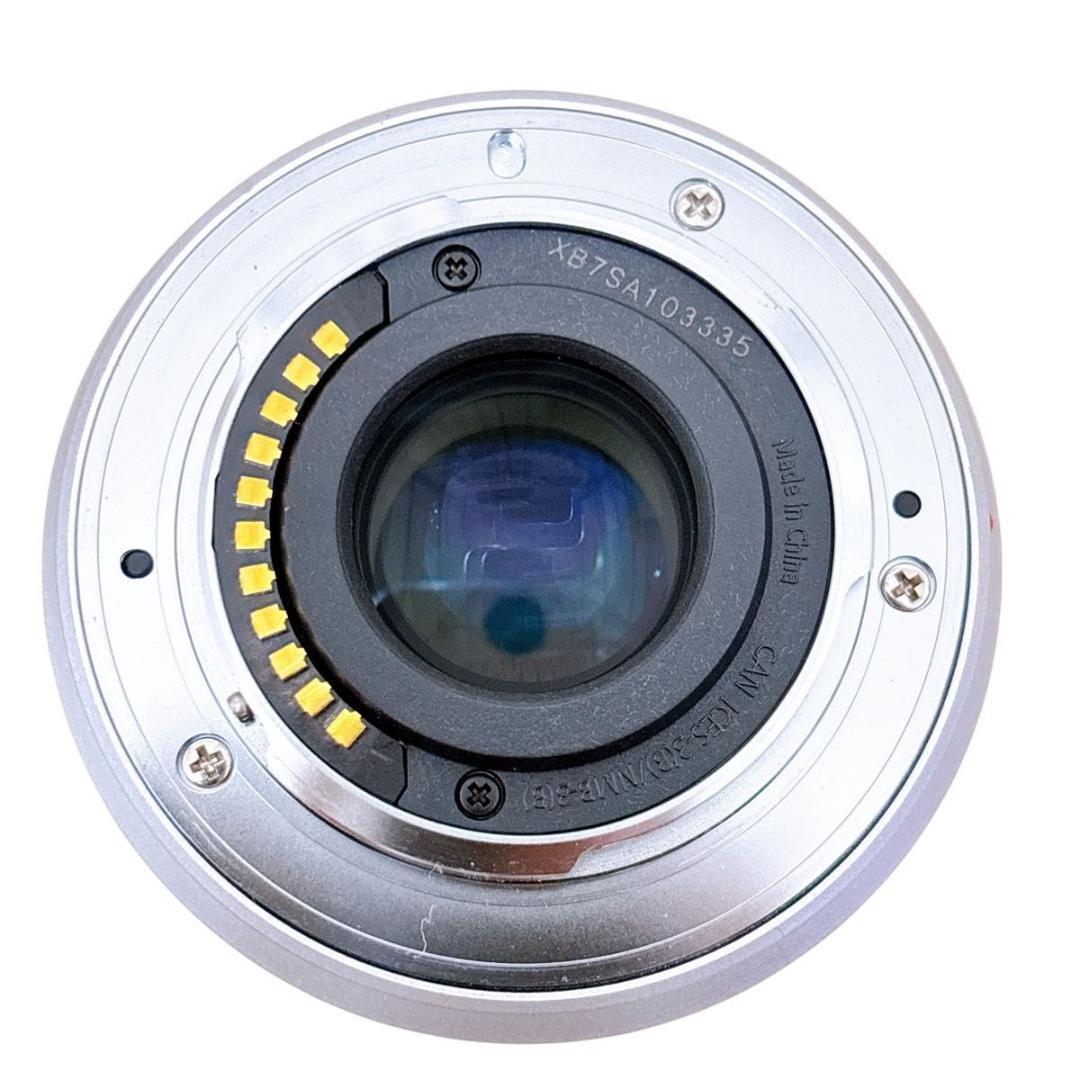 Panasonic LUMIX G ミラーレス一眼カメラ DC-GF9W