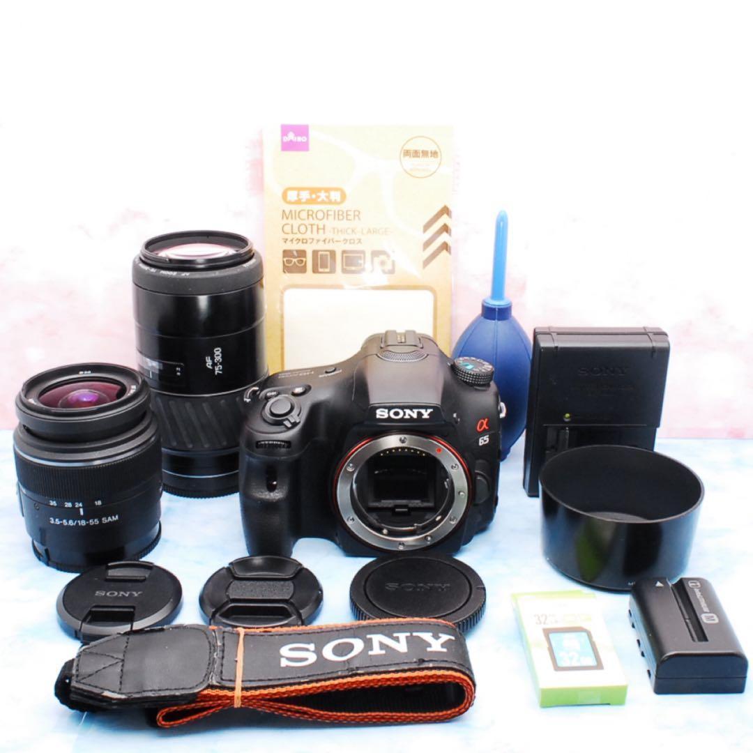 ショット数少✨SONY α65✨Wレンズ✨一眼レフカメラ✨高速連写＆高画質