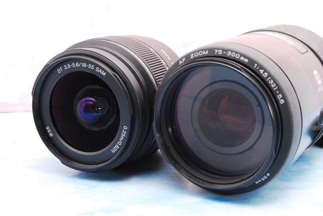 ショット数少✨SONY α65✨Wレンズ✨一眼レフカメラ✨高速連写＆高画質