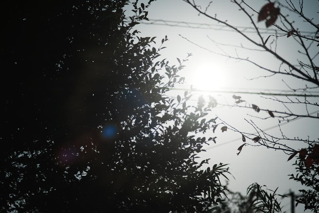 【整備＆テスト済】動作◎ Canon New FD 100mm F2.8 140