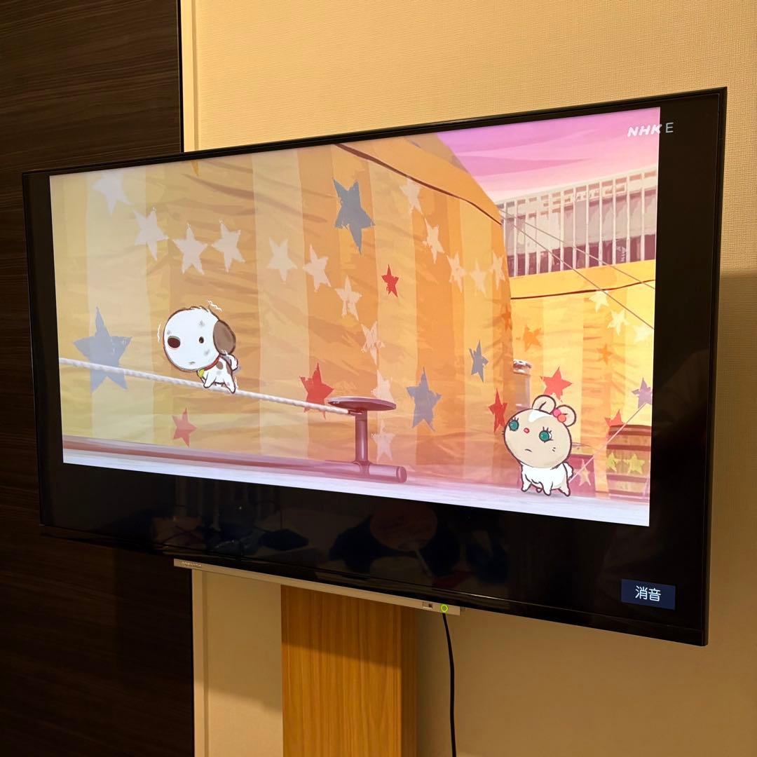 【匿名配送】TOSHIBA 43M520X REGZA 43V型