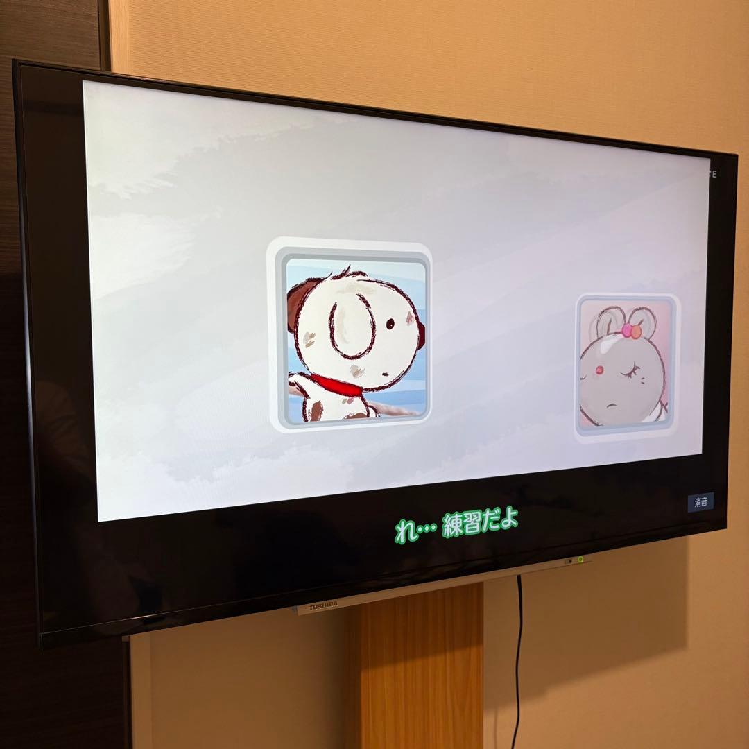 【匿名配送】TOSHIBA 43M520X REGZA 43V型