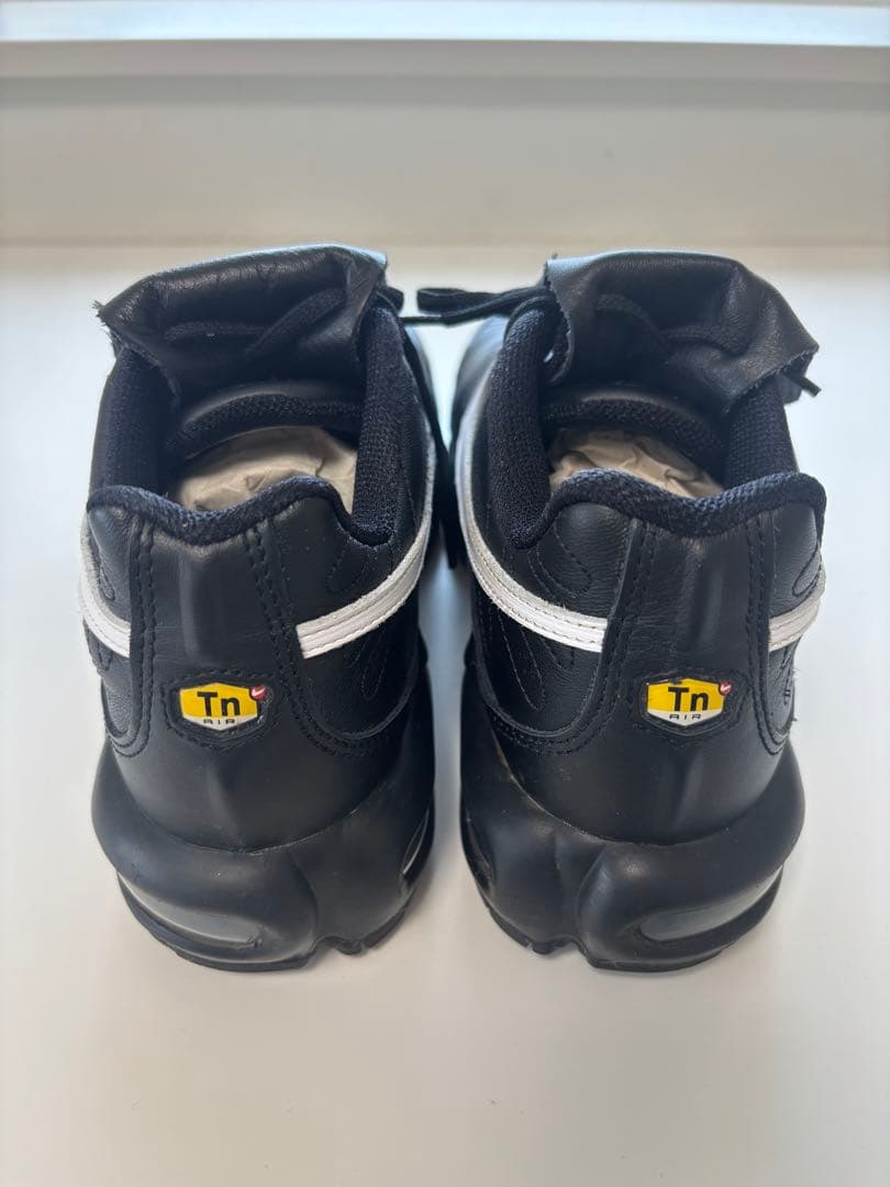 【箱付き美品】Nike Air Max Plus ブラック