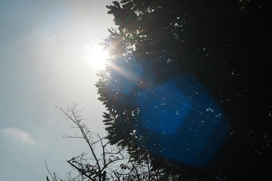 心地よいバブルボケと温かい描写 Fujinon 55mm F2.2 981