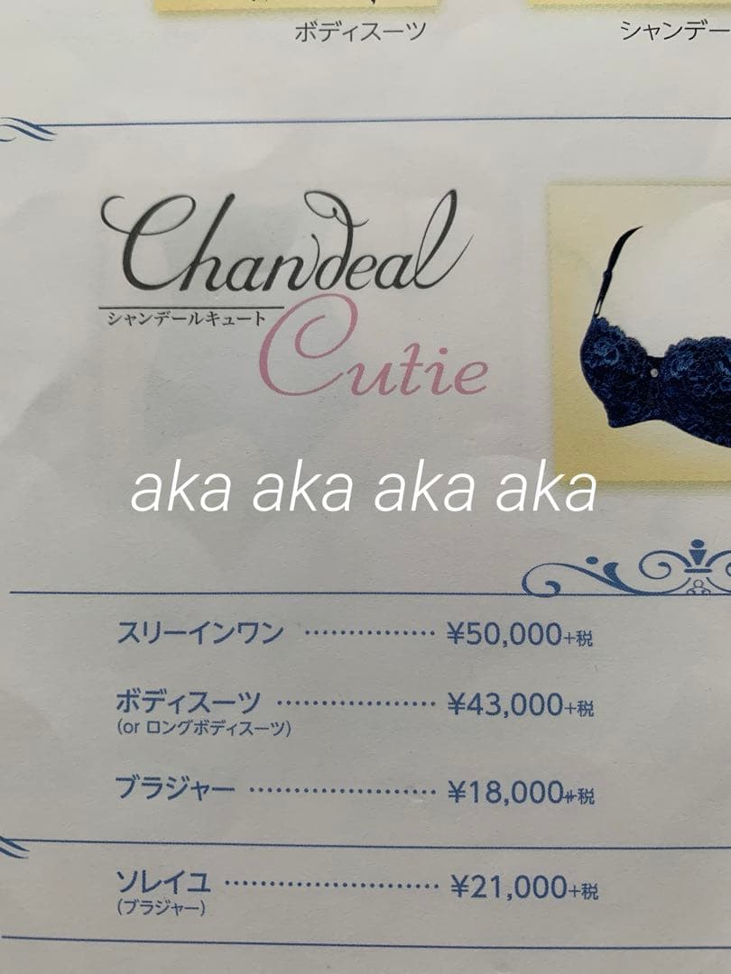 シャンデールサファイアブルーC75ブラジャー新品未使用