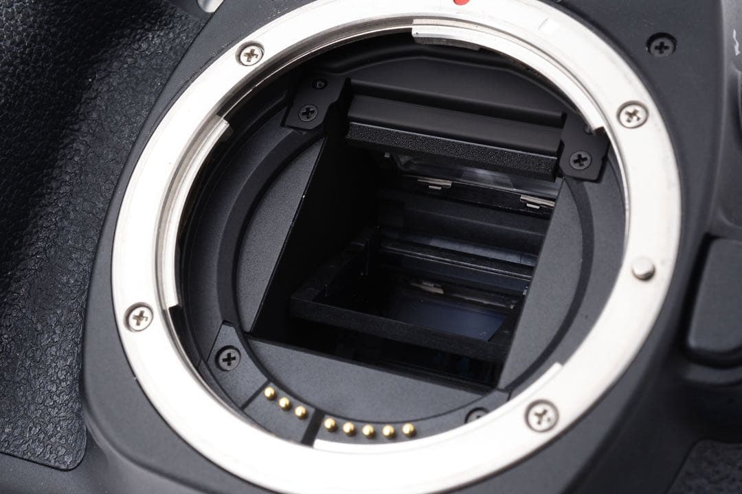 デジタル一眼レフカメラCanon EOS80D標準&望遠ダブルレンズセット