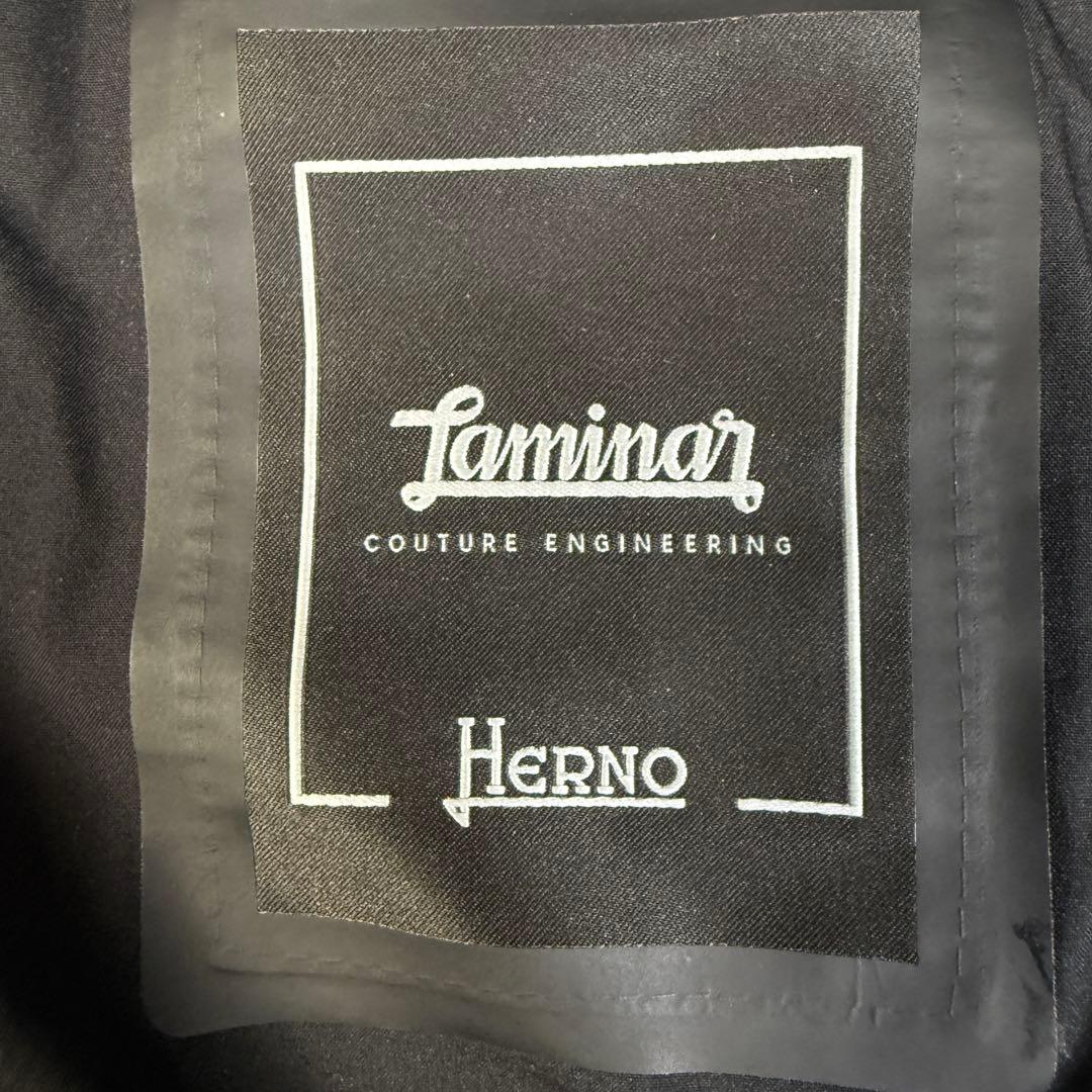 HERNO ラミナー ゴアテックス Aシェイプ フレア ダウンコート 48 黒