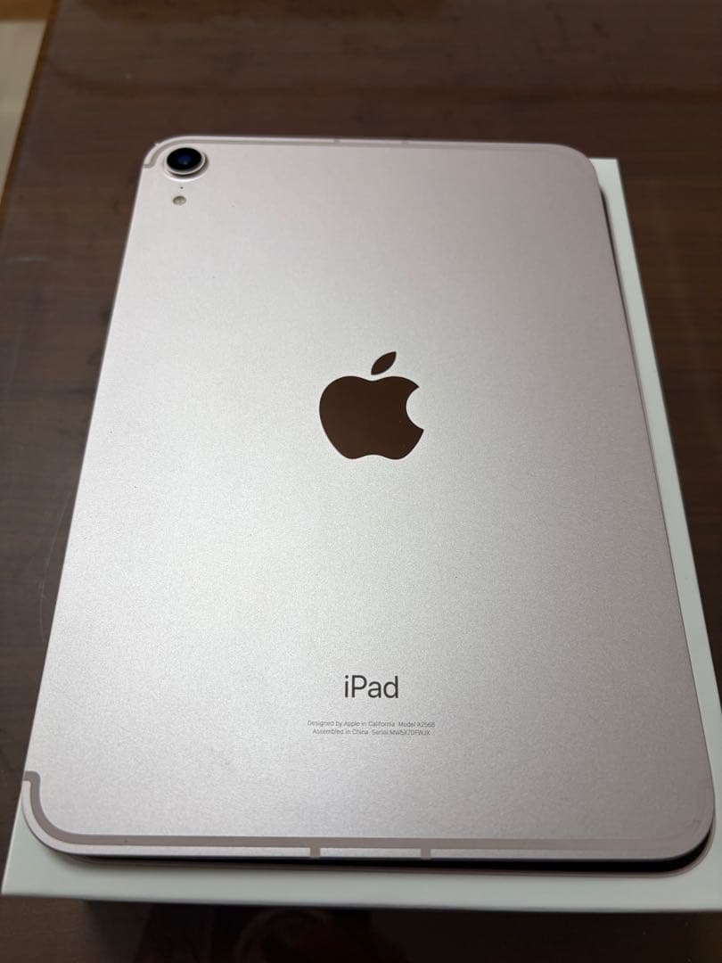 iPad mini (第6世代) 64GB Cellular ジャンク　売り切り