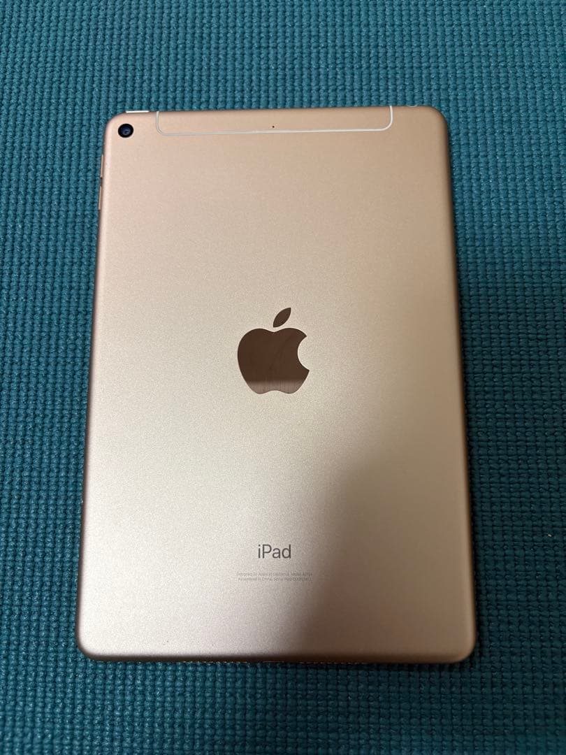 iPad mini 第5世代 WiFi+Cellular 256GB