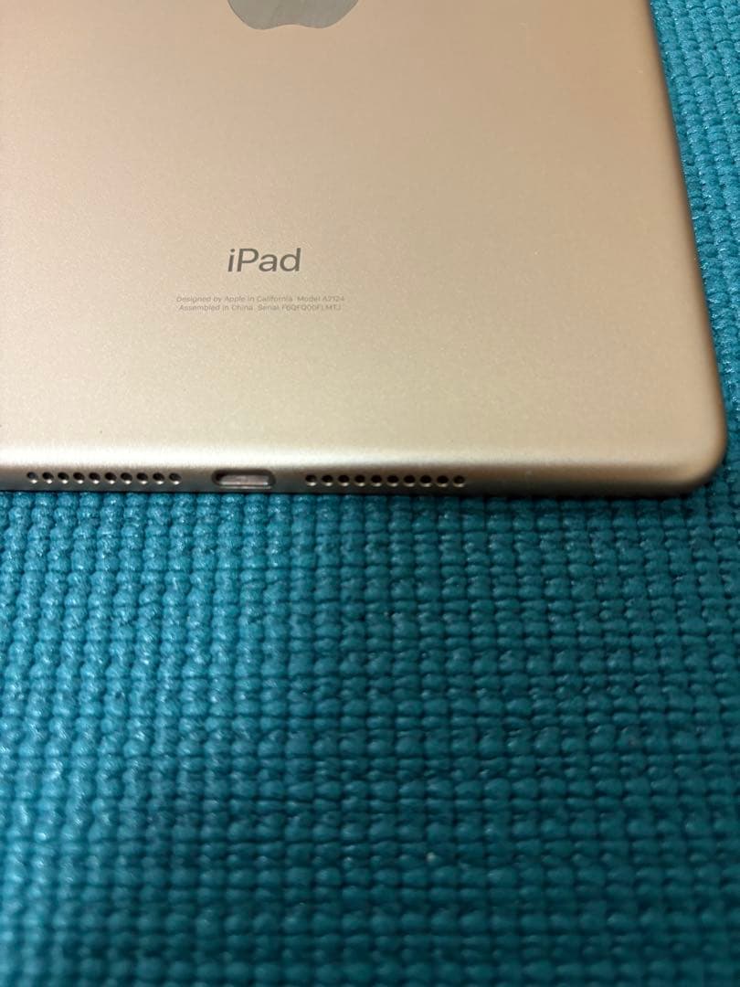 iPad mini 第5世代 WiFi+Cellular 256GB
