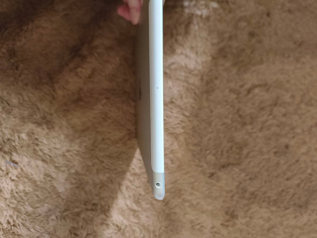 iPad 第6世代 セルラー+WiFi 9.7インチ シルバー 本体+純正充電器