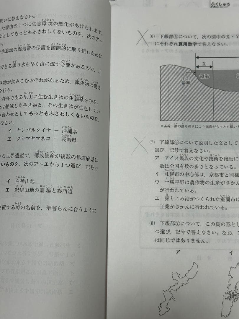 サピックス5年　マンスリーテスト　入室組分けテスト　2025年最新　11回セット
