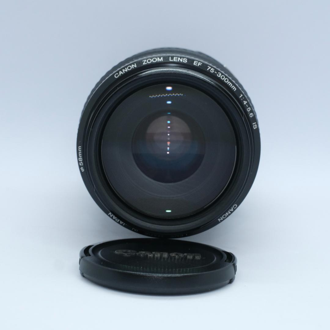 Canon EF 75-300mm IS USM 望遠レンズ 手ブレ補正