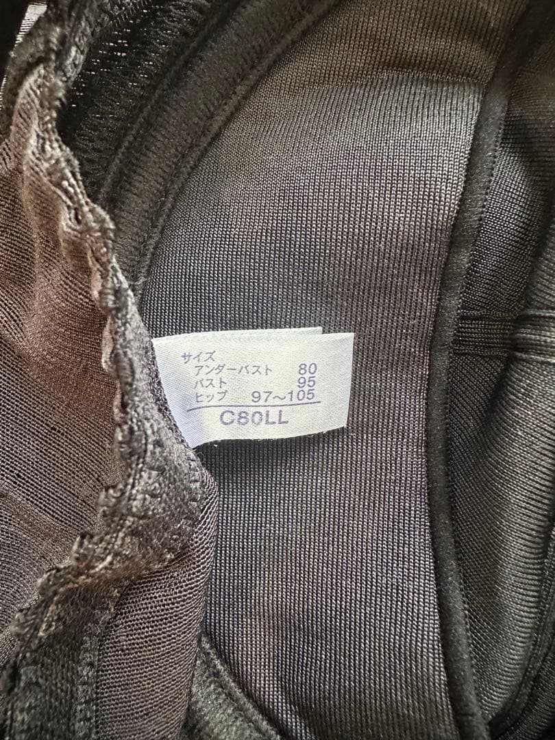 春梨花　マルコ